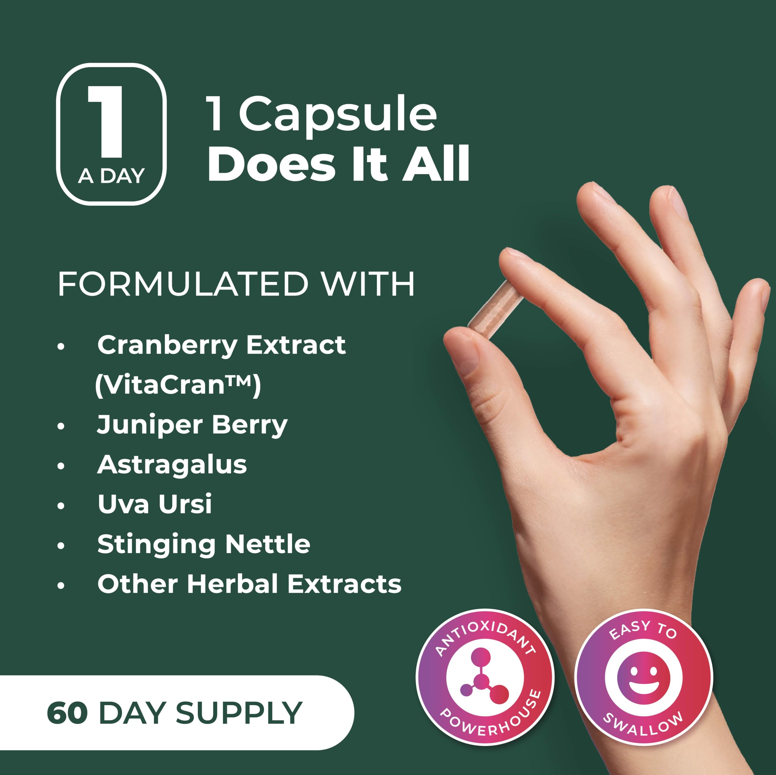 PurePremium Supplements Astragalus Kidney Support 90 Capsules lifestyle shot