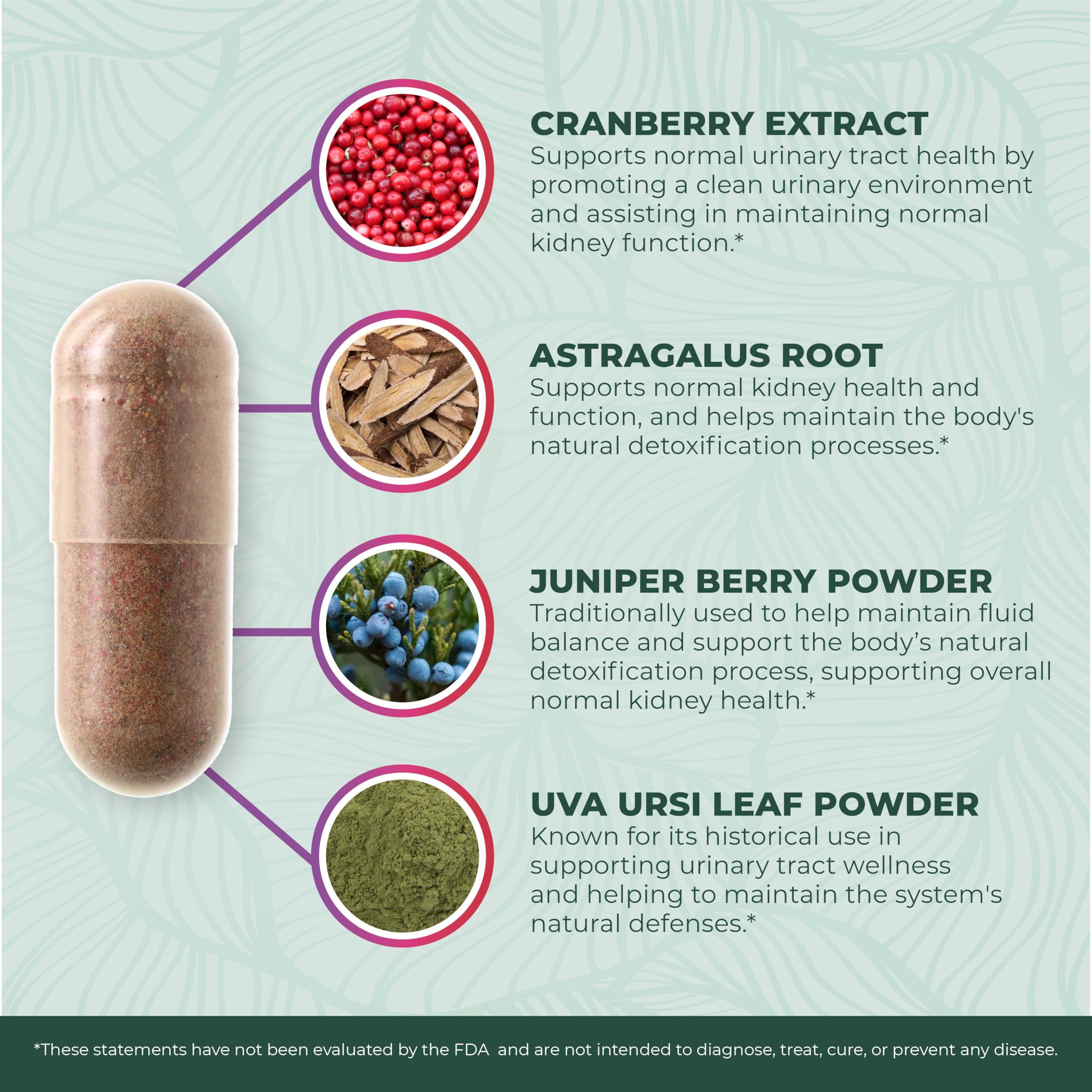 PurePremium Supplements Astragalus Kidney Support 90 Capsules on a wooden table