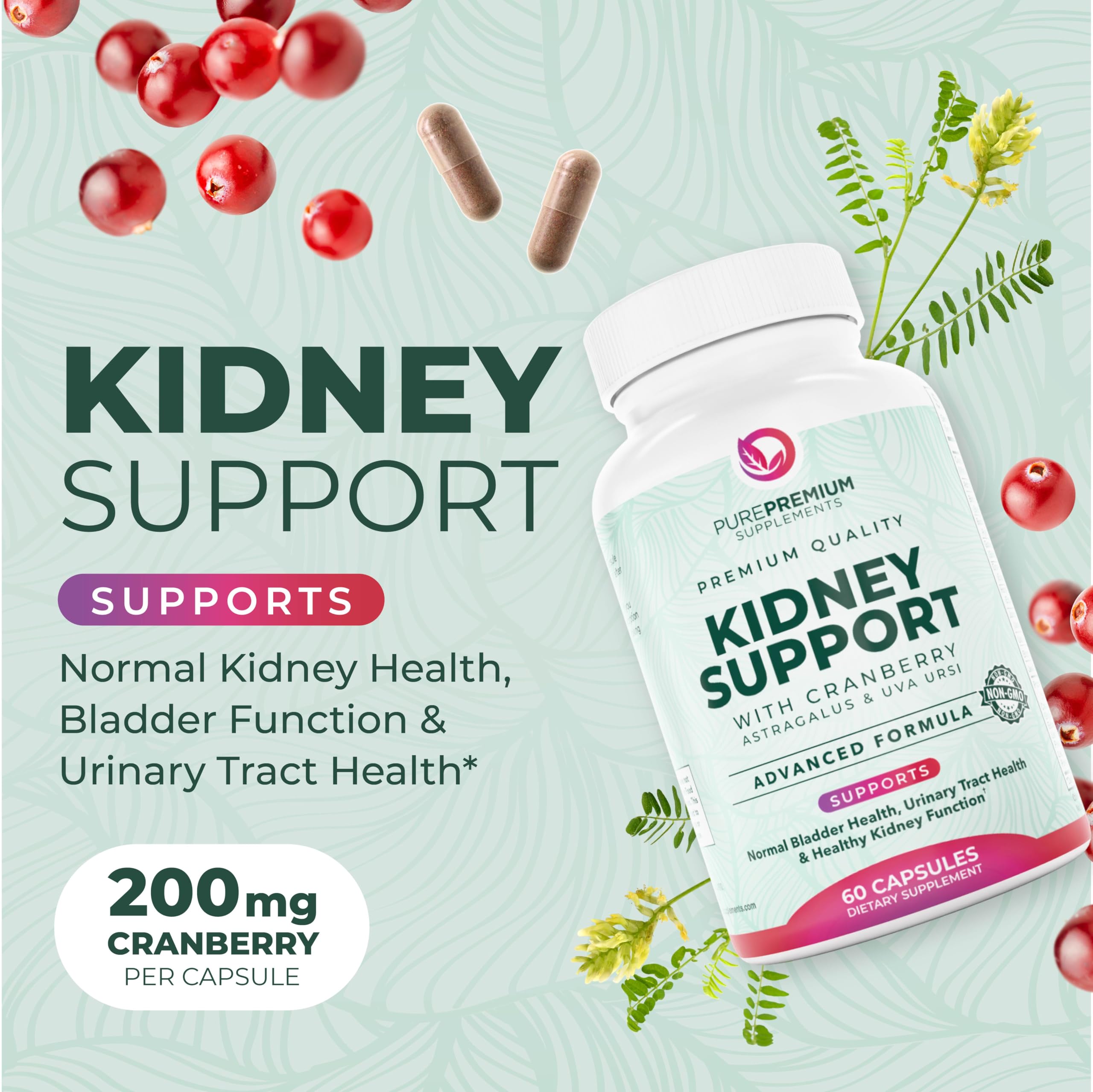 PurePremium Supplements Astragalus Kidney Support 90 Capsules side view