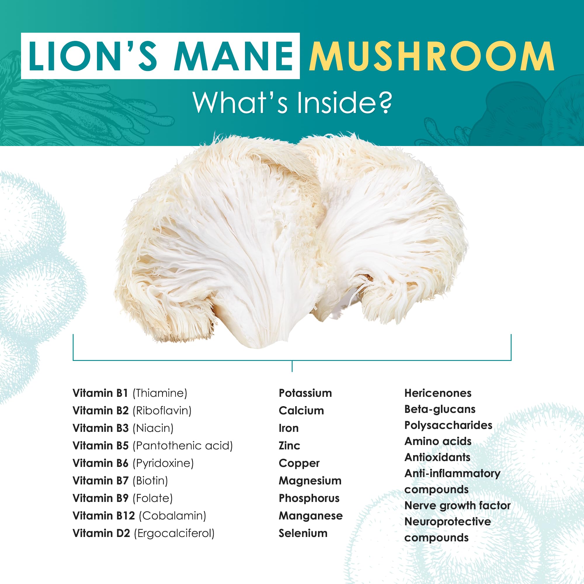 Purest Mushrooms Lion's Mane Mushroom Powder in a smoothie