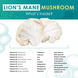 Purest Mushrooms Lion's Mane Mushroom Powder in a smoothie
