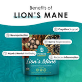 Purest Mushrooms Lion's Mane Mushroom Powder scoop