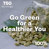 Purisure Green Coffee Bean Extract 159g powder close-up