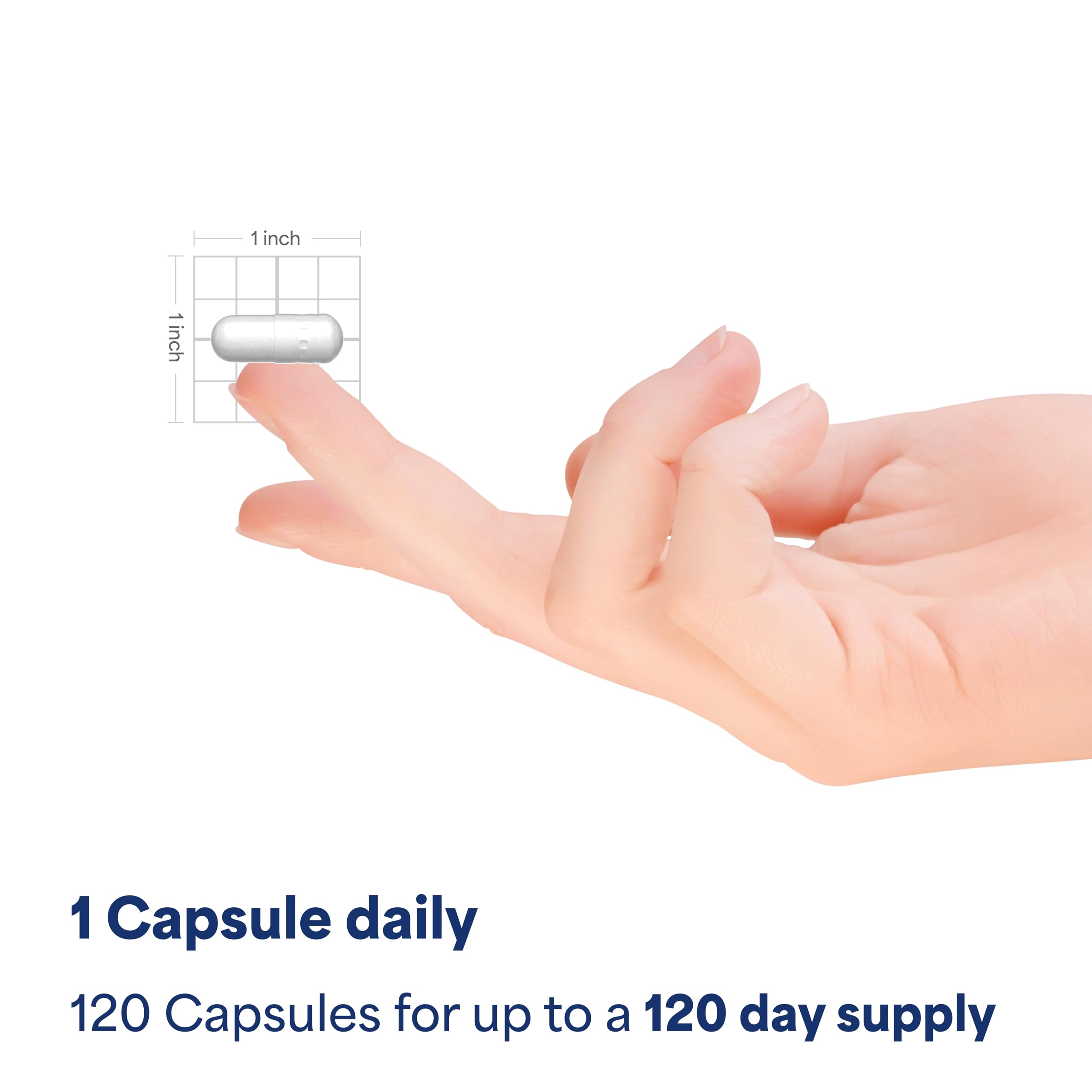 Puritan's Pride Melatonin 10mg Sleep Aid packaging details