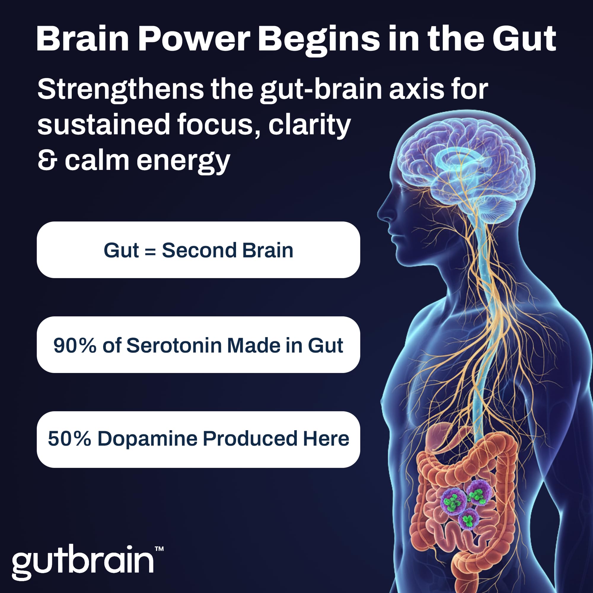 Purity Labs Brain Upgrade Supplement capsule on a wooden surface