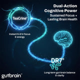 Purity Labs Brain Upgrade Supplement showing detailed label information