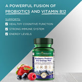 Purity Products Probiotic Energy Melt B12 close-up