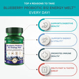 Purity Products Probiotic Energy Melt B12 supplement details