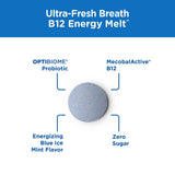 Purity Products Ultra Fresh Breath B12 Energy Chewable Melts mint flavour