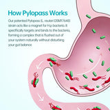 purmeo Probiotic Supplement in a lifestyle setting