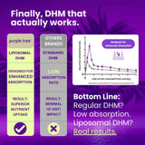 Purple Tree Milk Thistle supplement capsules in hand