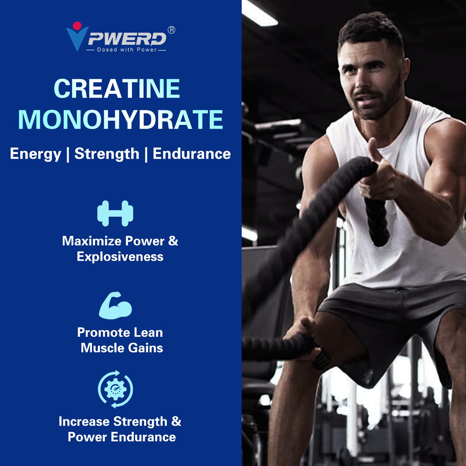 PWERD Creatine Monohydrate Gummies 5000 mg nutritional information
