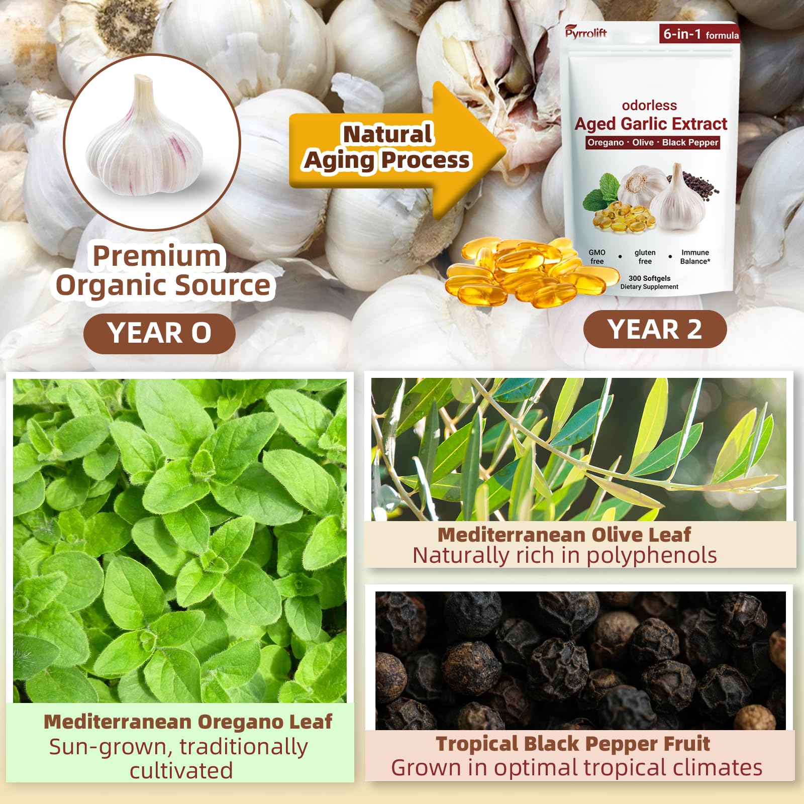 Pyrrolift Garlic Supplement 1530mg softgel in hand