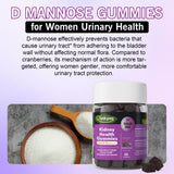 Q'ankyaq Kidney Health Gummies showing natural ingredients