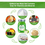 QANLOI Sea Moss Gel 650g displayed in a kitchen setting