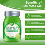 QANLOI Sea Moss Gel 650g jar open showing the gel