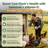 Qanoreth Vitamin E & Selenium Supplement 331g packaging
