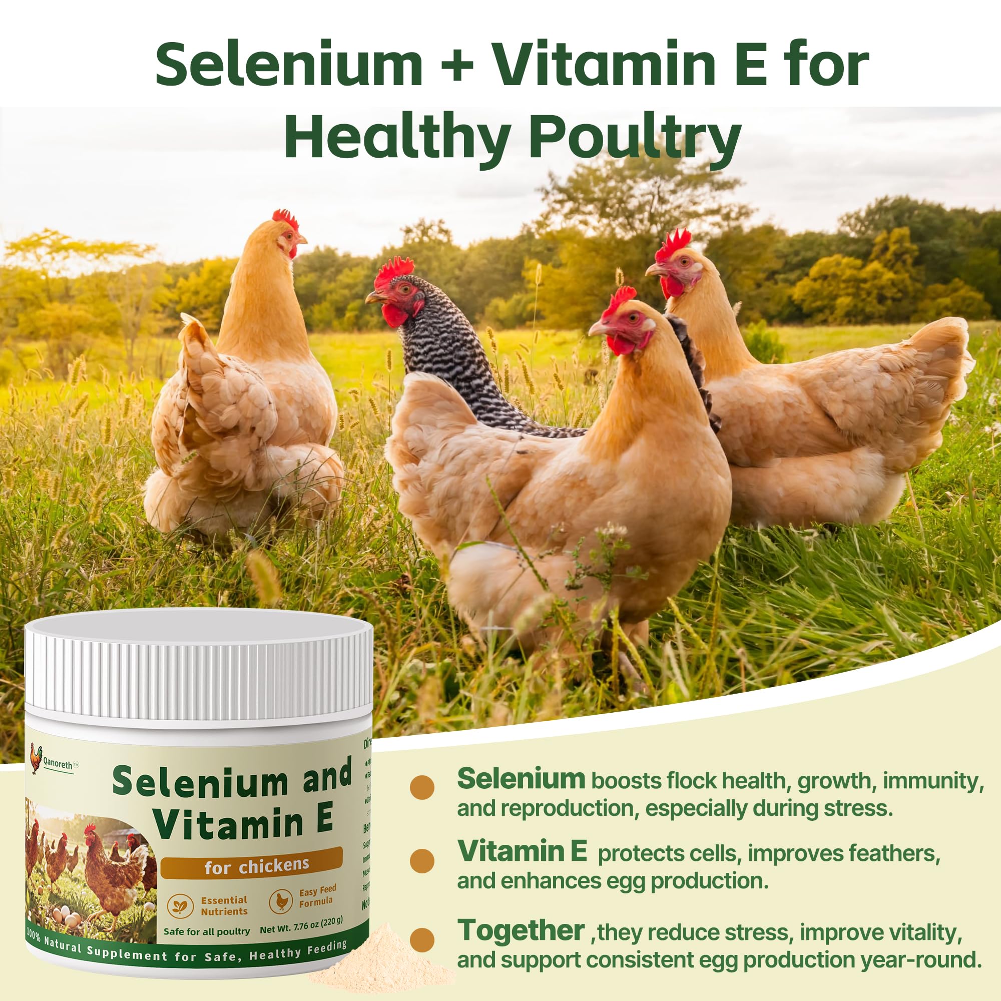 Qanoreth Vitamin E & Selenium Supplement 331g side view