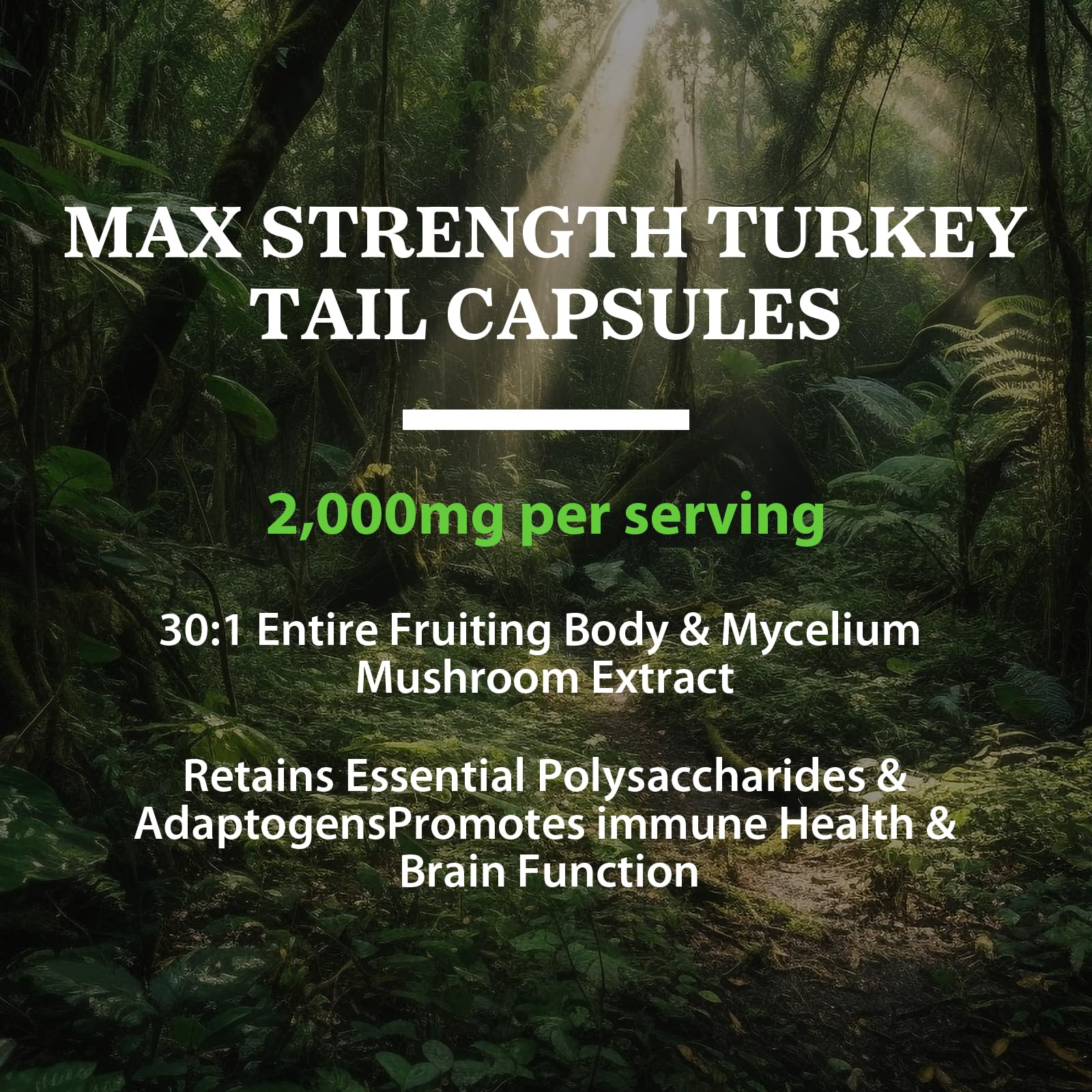 Qazwer Turkey Tail Mushroom Capsules displayed with herbs