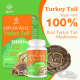 Qazwer Turkey Tail Mushroom Capsules opened bottle with capsules