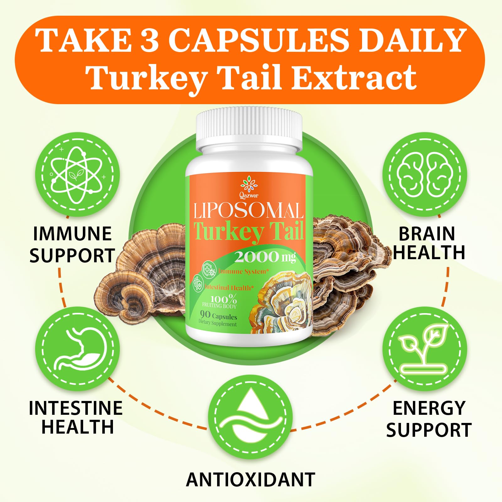 Qazwer Turkey Tail Mushroom Capsules packaging with ingredients list