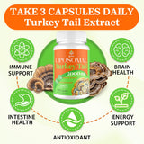 Qazwer Turkey Tail Mushroom Capsules packaging with ingredients list