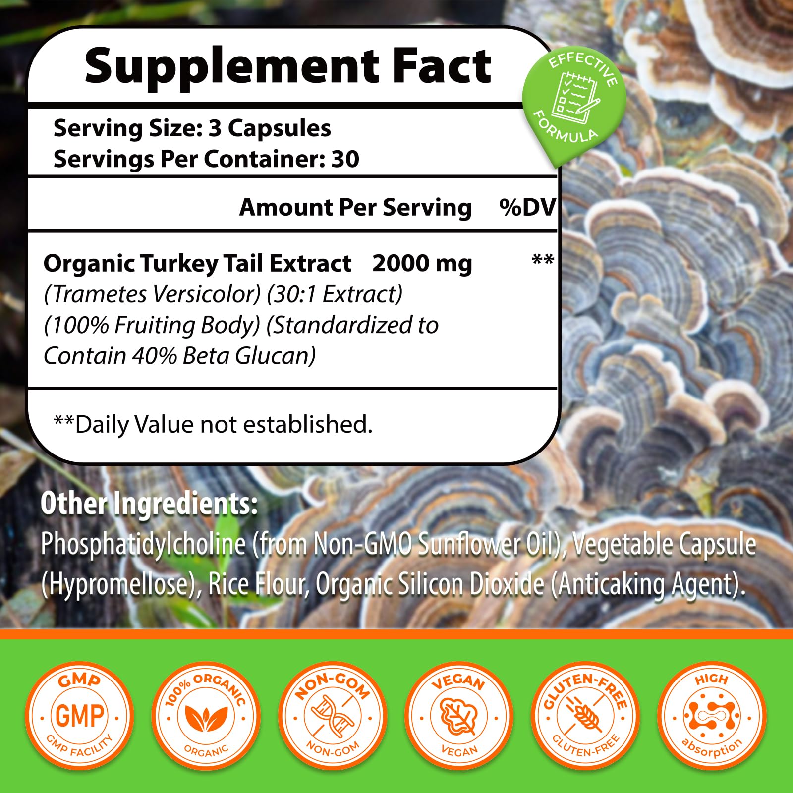 Qazwer Turkey Tail Mushroom Capsules side view showing capsules