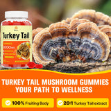 Qazwer Turkey Tail Mushroom Gummies in a lifestyle setting