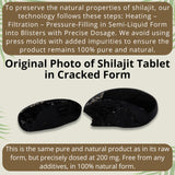 QG group Shilajit Tablets 200mg close-up of tablets