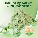 QIN SHAN TANG Green Apple Drink Mix packaging