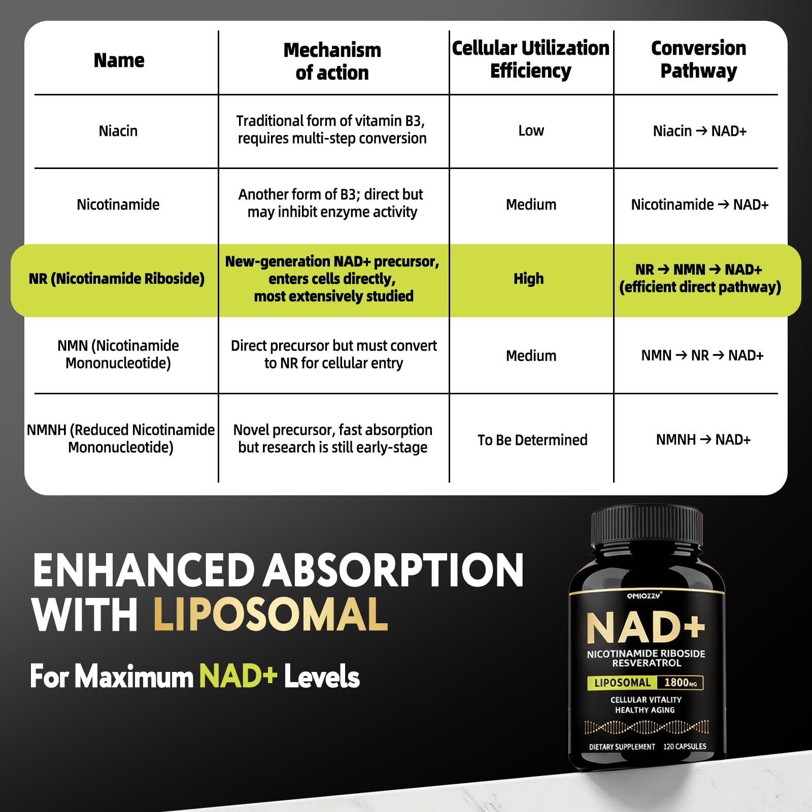 Qmiozzy NAD+ Resveratrol Supplement back view with ingredient list
