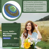 Quackiki NAD+ Capsules showing liposomal technology