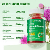 QualiLife Liver Support Gummies in hand for size reference