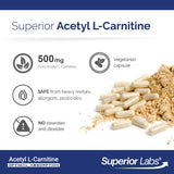 quality Labs Acetyl L-Carnitine 500mg capsule bottle with ingredients list