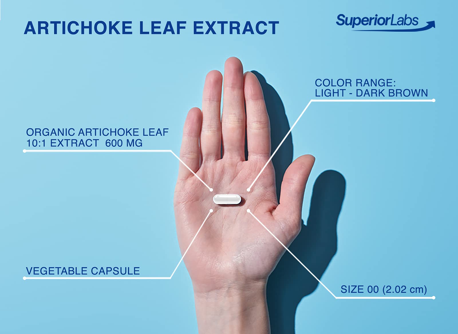 quality Labs Artichoke Leaf Extract 600mg capsules on a wooden table