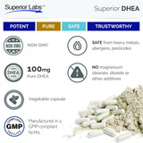 quality Labs DHEA Supplement 100mg bottle with natural background