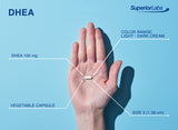 quality Labs DHEA Supplement 100mg vegetarian capsules close-up