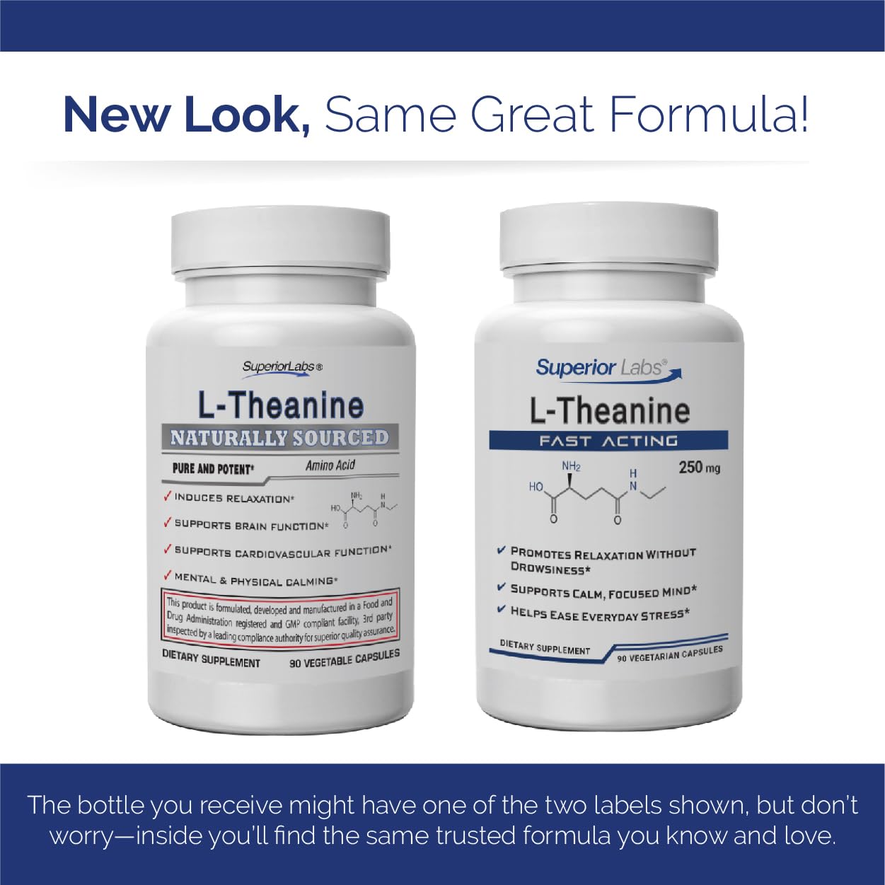 quality Labs L-Theanine 250mg Capsules in hand