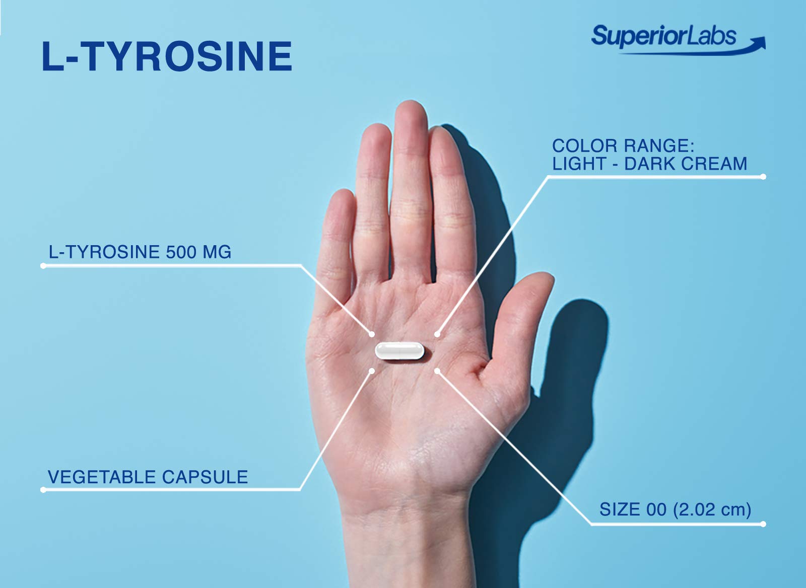 quality Labs L-Tyrosine 500mg supplement capsule close-up