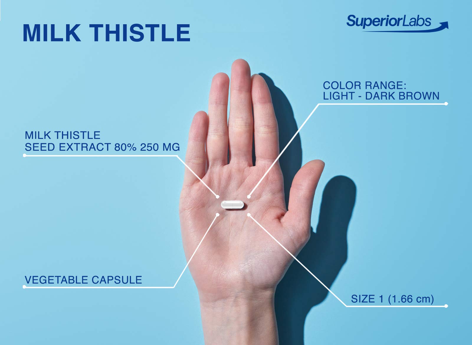 quality Labs Milk Thistle capsules with measuring spoon