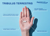 quality Labs Tribulus Terrestris 1500mg supplement on a wooden table