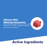 quality Source B-12 Supplement displayed with other vitamins