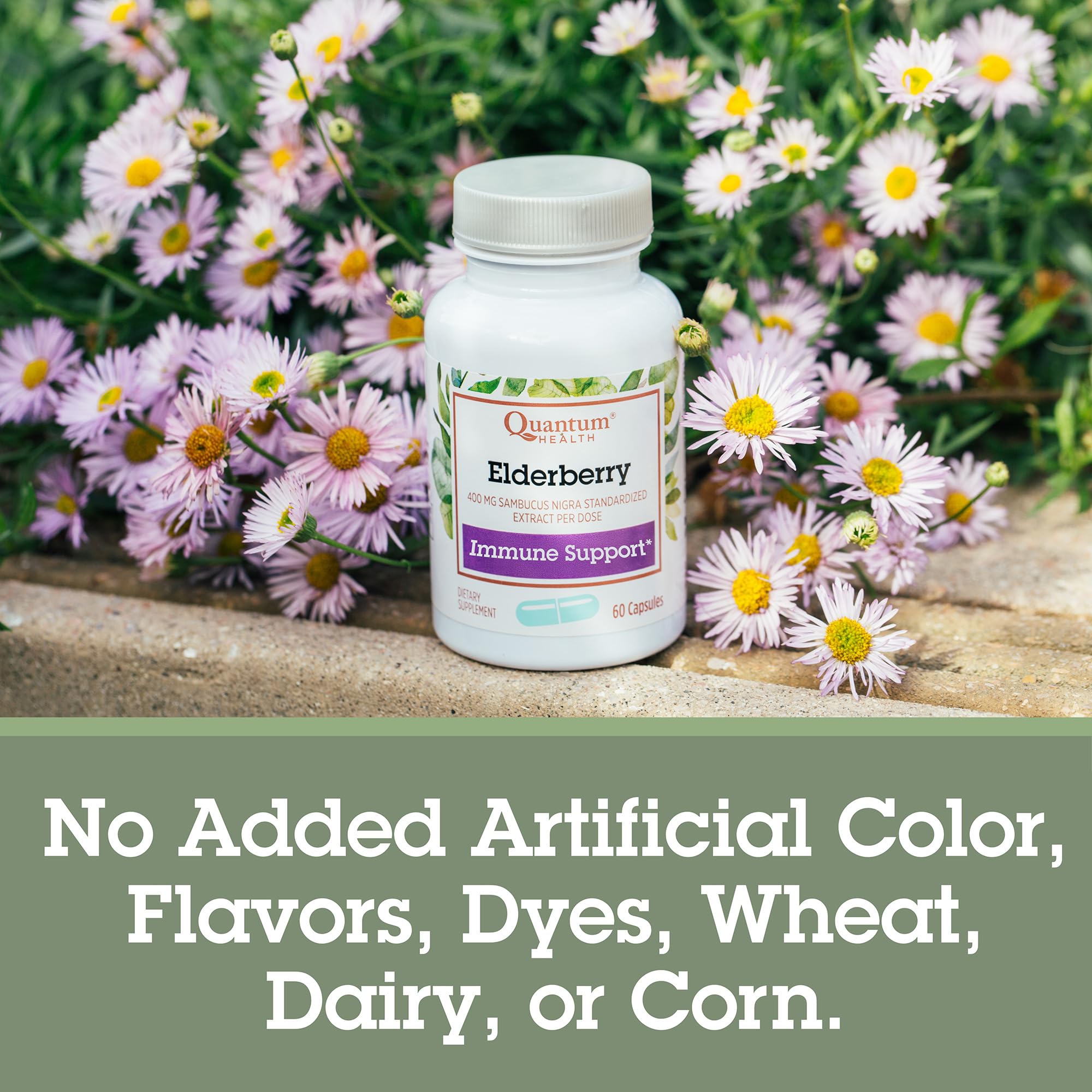 Quantum Elderberry Capsules 400mg with a measuring spoon