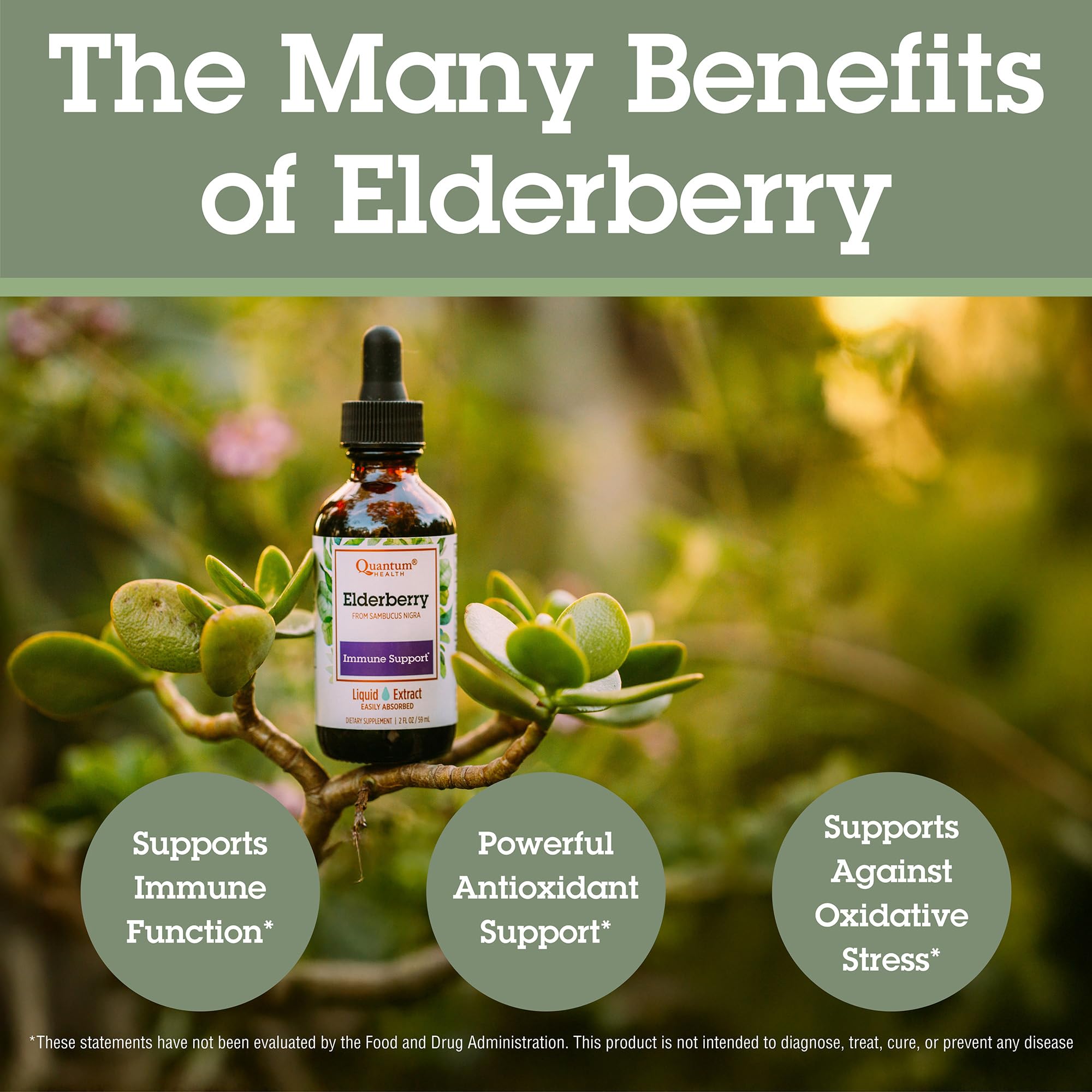 Quantum Elderberry Extract 700mg bottle side view