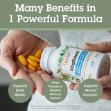 Quantum MigShield Multimineral Supplement ingredients list