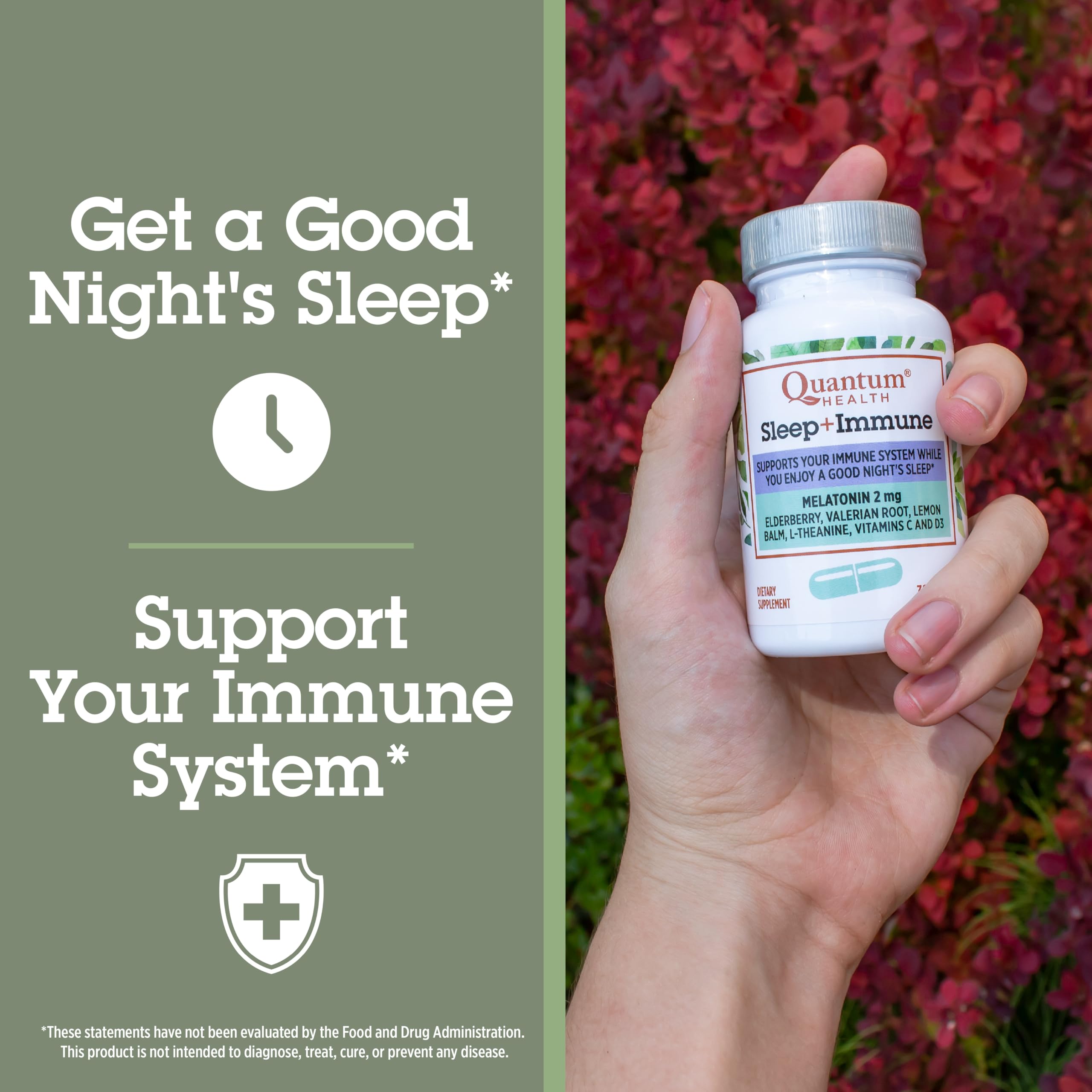 Quantum Sleep daily wellness Melatonin 2mg ingredients list