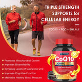 Quinovit CoQ10 supplement side view with label