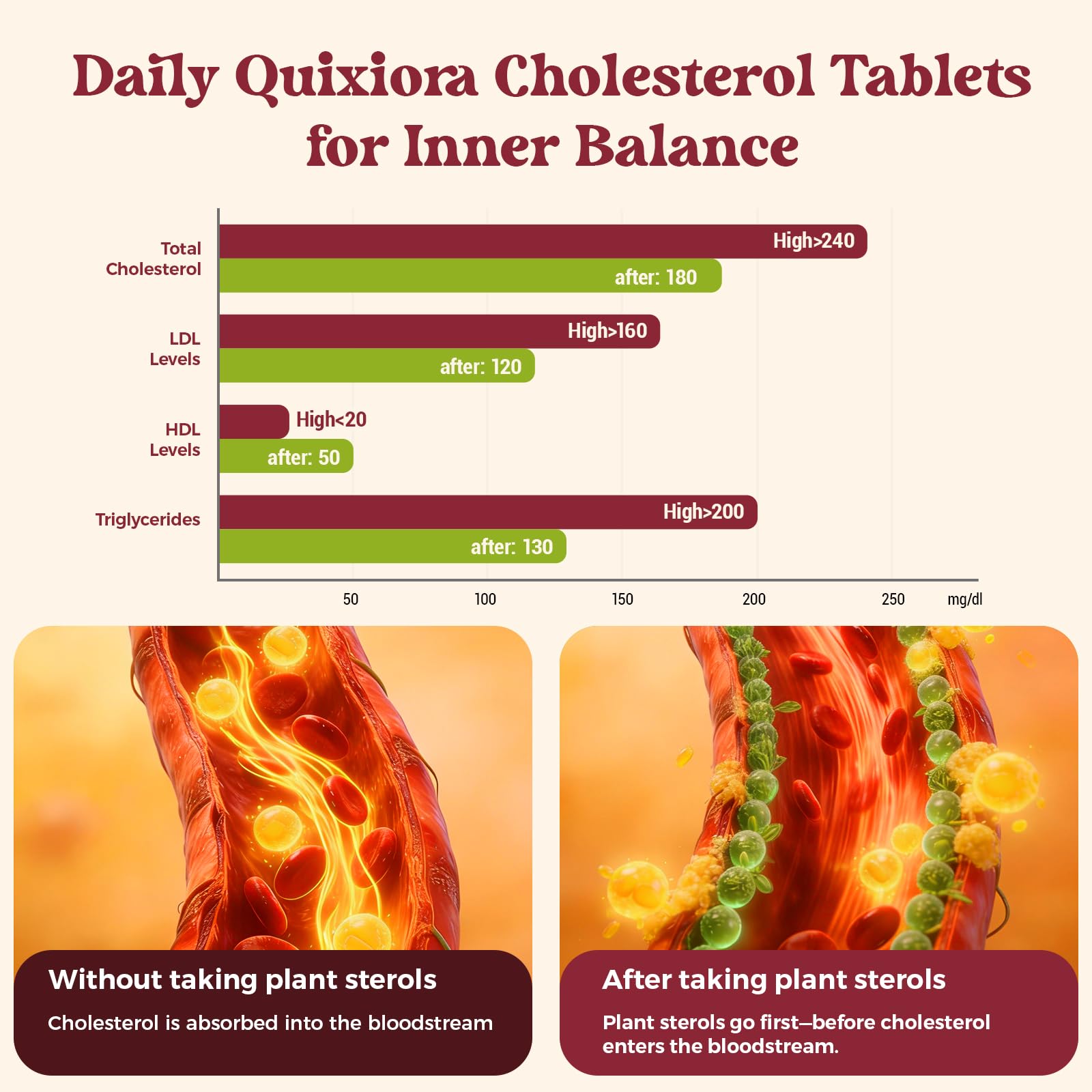 Quixiora Blended Vitamin & Mineral Supplement ingredients close-up