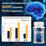 Quorinthiumax Brain Support Supplement back view showing nutritional information
