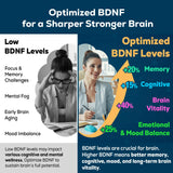 Quorinthiumax Brain Support Supplement capsules in a measuring spoon